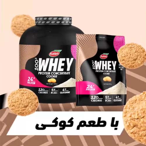 پودر پروتئین وی کاله بیسکویتی